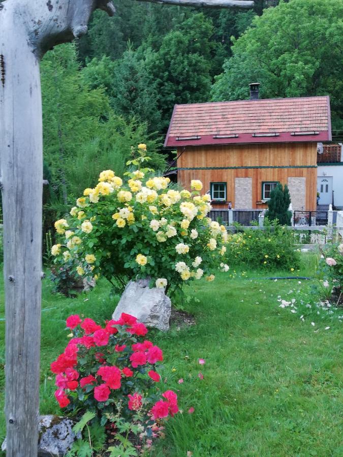 Georges Rast Villa Altaussee Bagian luar foto