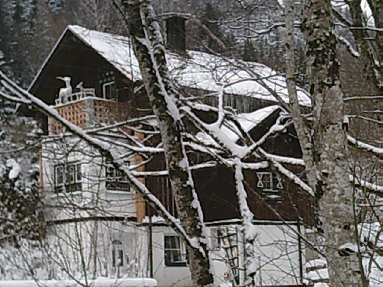 Georges Rast Villa Altaussee Bagian luar foto