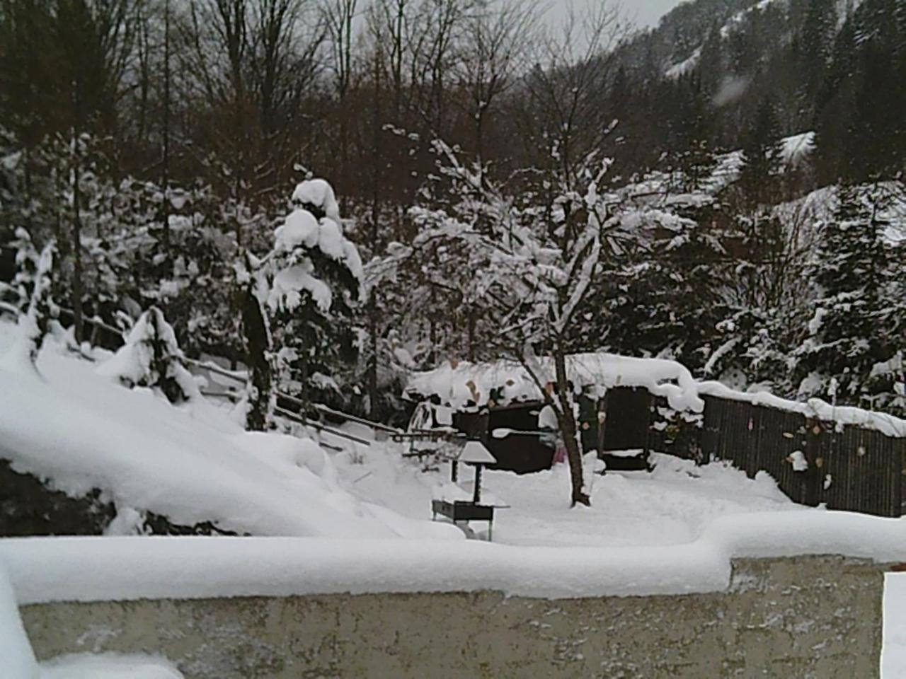 Georges Rast Villa Altaussee Bagian luar foto