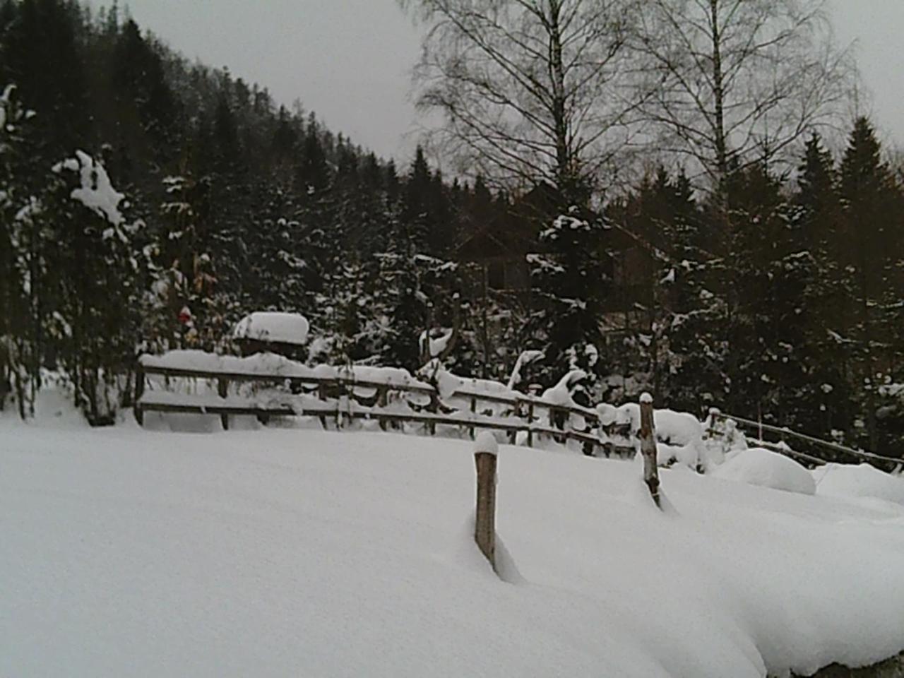 Georges Rast Villa Altaussee Bagian luar foto