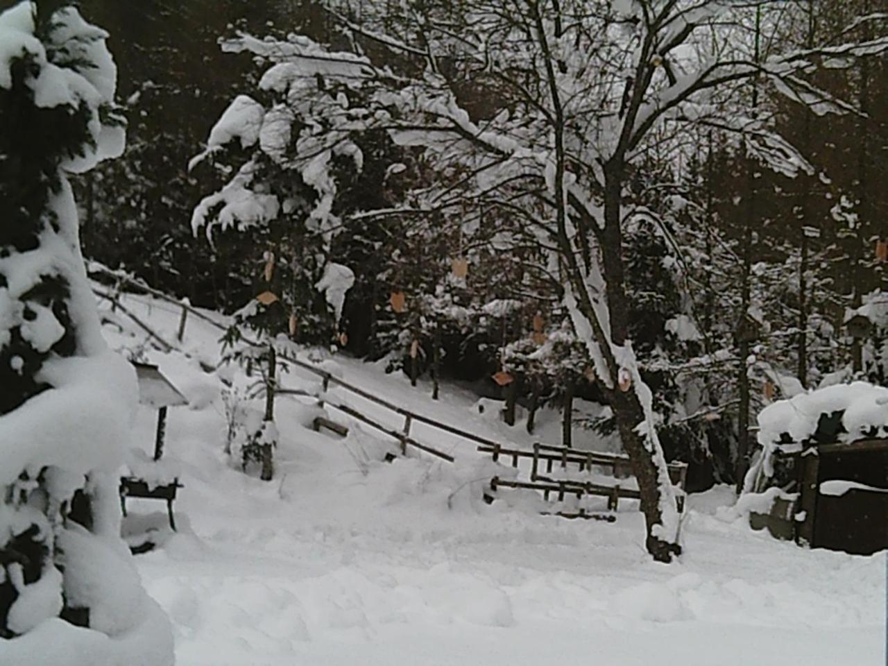 Georges Rast Villa Altaussee Bagian luar foto